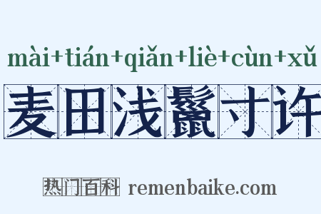 麦田浅鬣寸许是什么意思的图片